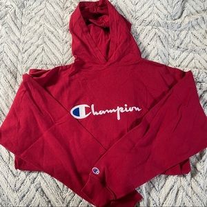 COPY - Vintage champion hoodie